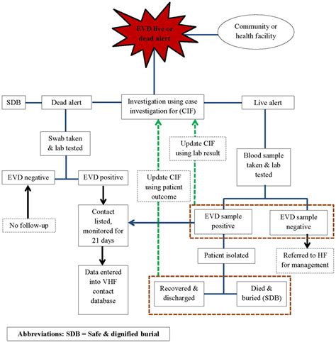 Learn vocabulary, terms and more with flashcards, games and functions similarly to a nucleus, holds genetic material w/in the cell. Frontiers | Epidemiology of Ebola Virus Disease in the ...