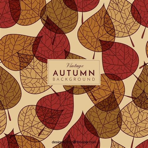 Lovely Hand Drawn Autumn Leaves Background Vector Free Download