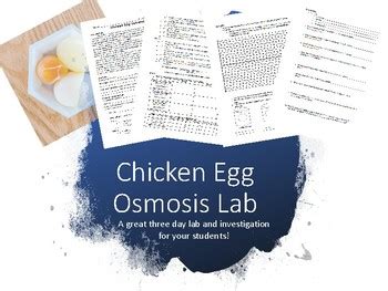 And then you will divide those 4 eggs for step 2. Egg Osmosis Lab Pdf / An Egg Cellent Osmosis Experiment Power To Learn / Cells in all living ...
