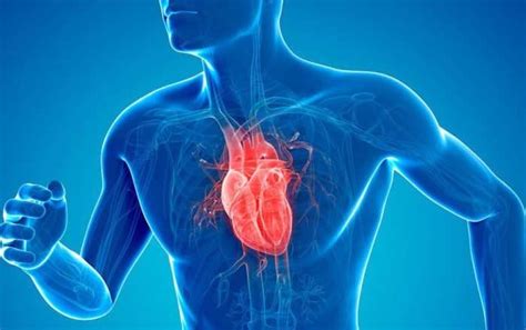 cardiomiopatia simptome cauze și tratament în boala mușchiului inimii
