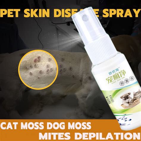 Dog Skin Treatment Pet Anti Fungal Spray Dog Skin Disease Treatment For