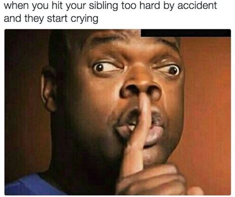 40 hilariously relatable sibling memes lively pals sibling memes funny relatable memes