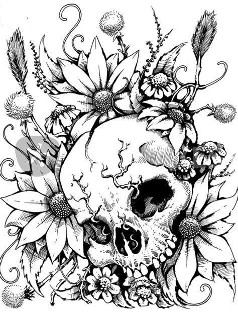 Wild Flowers Drawing Art Prints And Posters By Danny