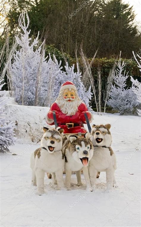 Santa Claus Father Christmas In Sled Dogs Huskies