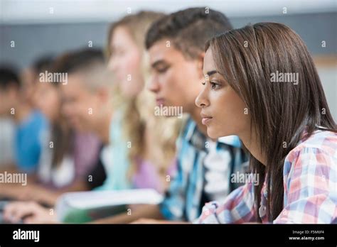 Row People Using Computers Hi Res Stock Photography And Images Alamy