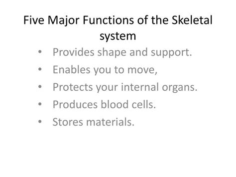 Ppt Five Major Functions Of The Skeletal System