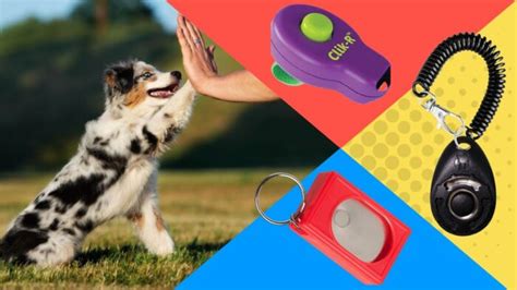 Best Dog Training Clickers Positive Reinforcement Training Tools