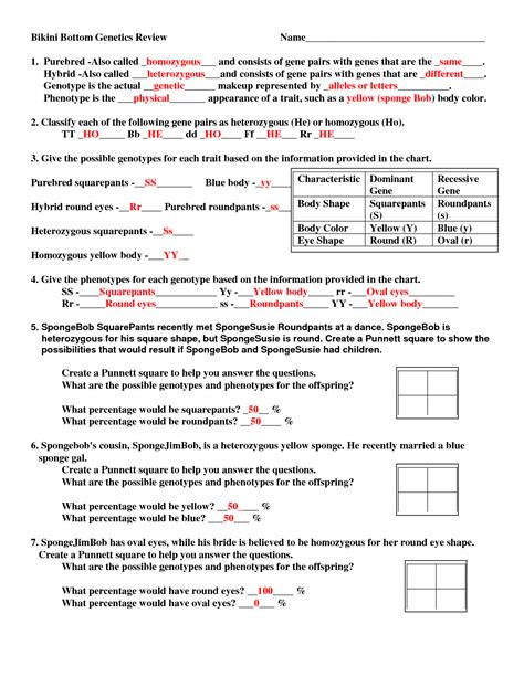 Spongebob genetics answer key page 2 : Answers With Worksheet Spongebob Genetics | Printable Worksheets and Activities for Teachers ...