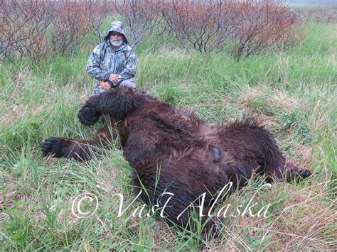 After more than 15 days of hunting the giant coastal bears of alaska jason price and bob summers find themselves face to face with a very curious brown bear!. Alaska Peninsula Brown Bear Hunting - Vast Alaska