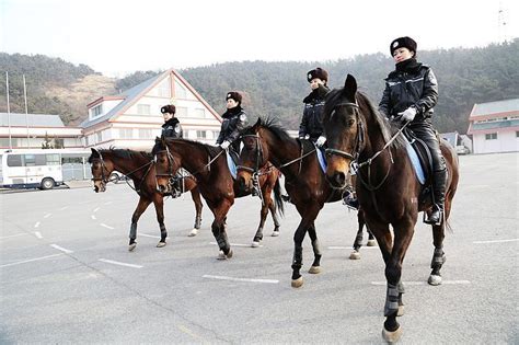 Dalians Mounted Policewomen In Full Leather Uniform