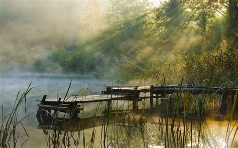 Nature Landscape Sunrise Dock Mist Lake Shrubs Forest Sun Rays