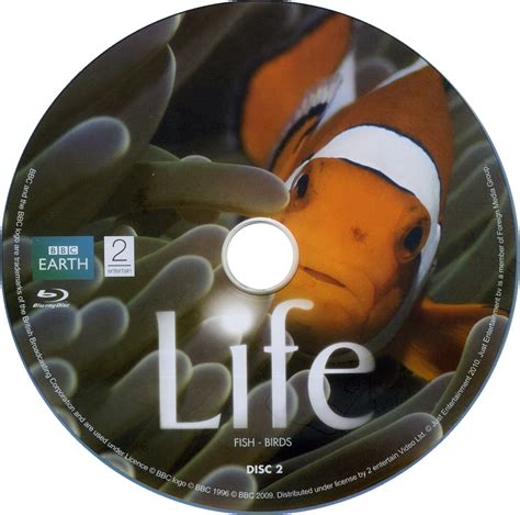 Fshare Bbc Life 2009 Vie Full Blu Ray 1080i Vc 1 Dts Hd Hr 5