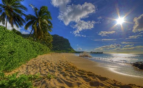 Nature Photography Landscape Beach Sand Palm Trees Shrubs Hills