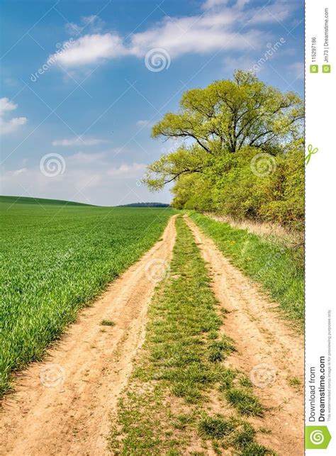 Spring Landscape With Dirt Road Under Blue Sky Stock Photo Image Of