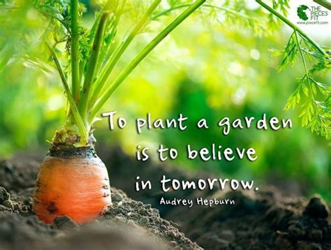 We did not find results for: 10382870_10152081183866160_1720909160736707296_n.jpg (720×544) | Plants, Garden plants, Plants ...