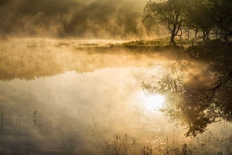 Dreamy Pond In Lingering Morning Mist Stan Schaap Photography