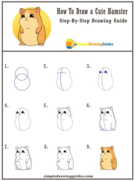 How To Draw A Cute Hamster Cute Hamsters Pets Drawing Cute Easy