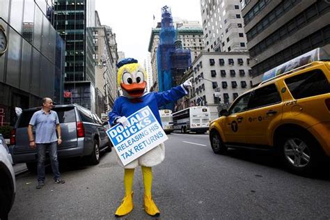 Dncs Anti Trump Mascot ‘donald Ducks May Run Afoul Of Trademark