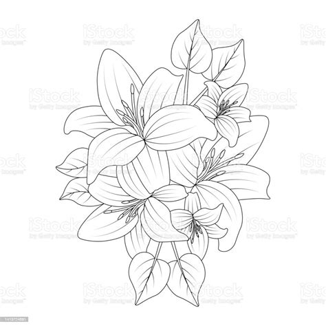Gambar Halaman Mewarnai Bunga Lily Untuk Anakanak Kegiatan Seni Dengan