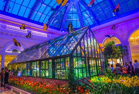Bellagio Hotel Conservatory Botanical Gardens Travel Photography By
