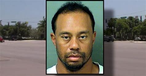 tiger woods says alcohol was not a factor in his dui arrest