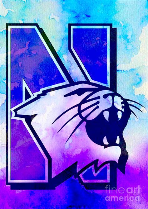 Northwestern Wildcats Digital Art By Steven Parker Pixels