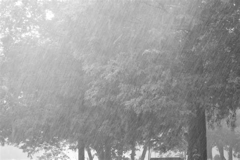 Downpour Painting Outdoor Photographer