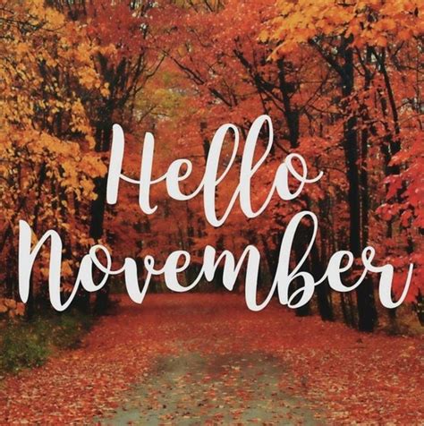 Hello November #hellonovemberwallpaper Hello November | Hello november, November pictures, Hello ...