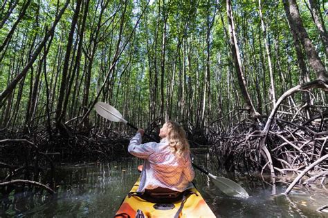 Kayaking In Krabi 5 Top Places To Kayak In Krabi Holidify