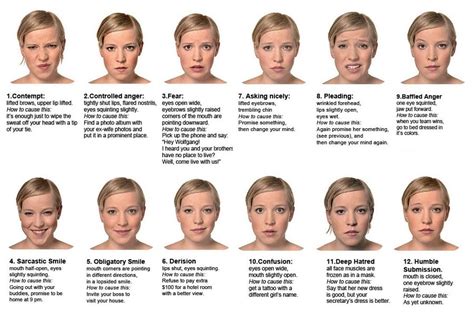 body language and facial cues writte n reading body language language psychology
