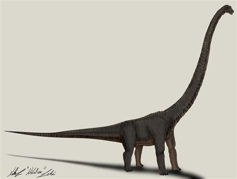 The Lost World Jurassic Park Mamenchisaurus By Nikorex On Deviantart