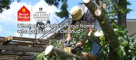 Home insurance does not cover the cost of removing a tree that has not yet fallen. When a Tree Falls from a Storm, Who Pays for the Cleanup ...