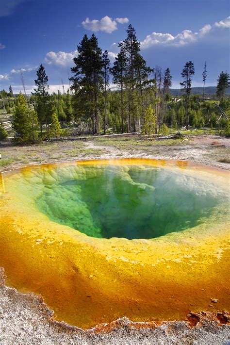 Morning Glory Pool Yellowstone National Park Wyoming Photos By
