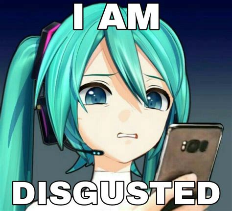 Reaction Picture I Guess ┐︶ ︶┌ Vocaloid Funny Funny Anime Pics Miku