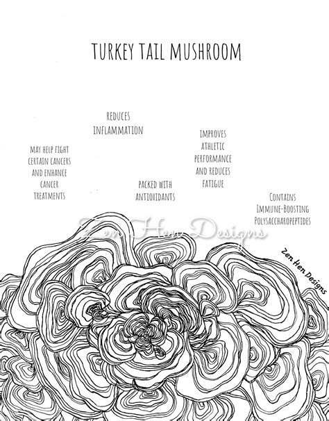 Turkey Tail Mushroom Health Benefits Hand Drawn Coloring Page Etsy