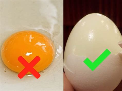 Cómo Saber Si Un Huevo Está Cocido O Crudo Sin Quitarle El Cascarón