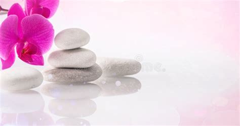 Wellness Relax Massage And Wellbeing Concept Spa Stones And Orchid Flower Over Light Pink