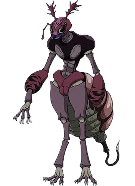 Hisoka Killua Hunter X Hunter Queen Ant Human Target New Continent
