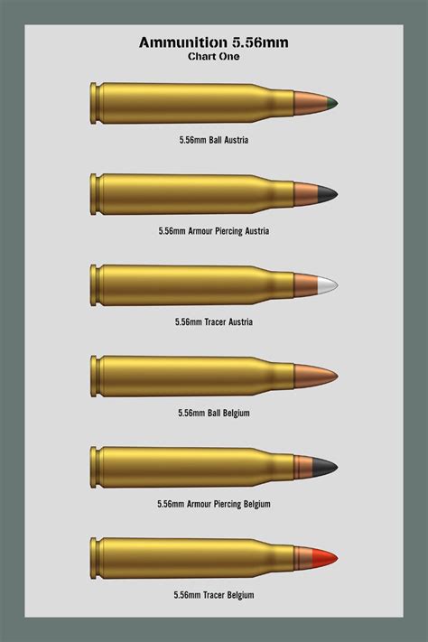 5.56mm (1 of 3) | Reloading ammo, Guns bullet, Guns handgun