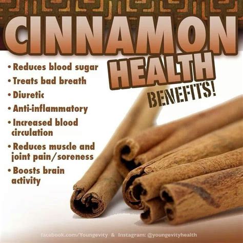 Health Cinnamon Health Benefits