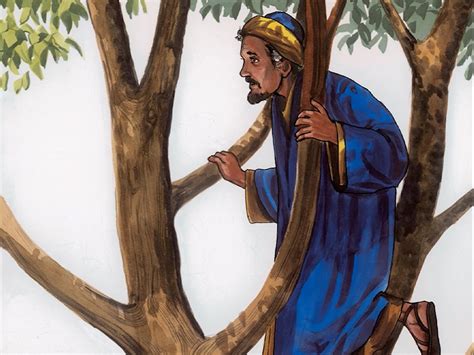 Freebibleimages Zacchaeus The Tax Collector Jesus Meets A