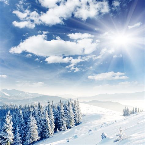 Laeacco Winter Snow Pine Tree Sunshine White Clouds Photography