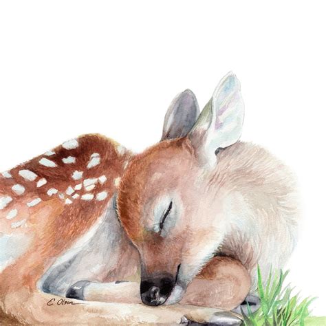Watercolor Sleeping Baby Deer Printable Nursery Decor Baby Animal