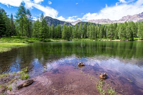 San Pellegrino Lake In The Italian Dolomites Stock Image Image Of