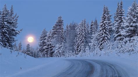 1920x1080 Moon Snow Twilight Winter Road Trees Forest