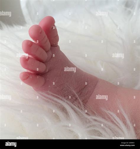 Newborn Baby Foot Stock Photo Alamy