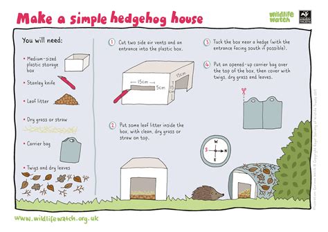 How To Build A Hedgehog Home Cumbria Wildlife Trust