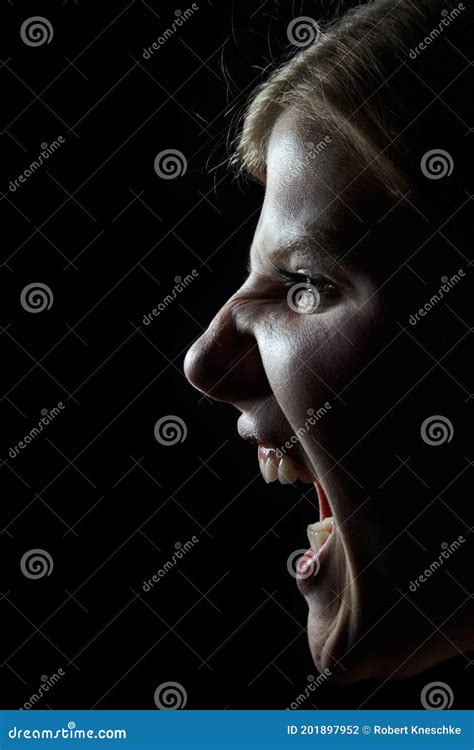 Woman Screams Stock Photo Image Of Disappointment Insult 201897952