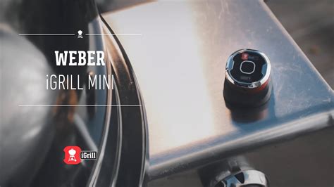 Introducing The Weber Igrill Mini Youtube