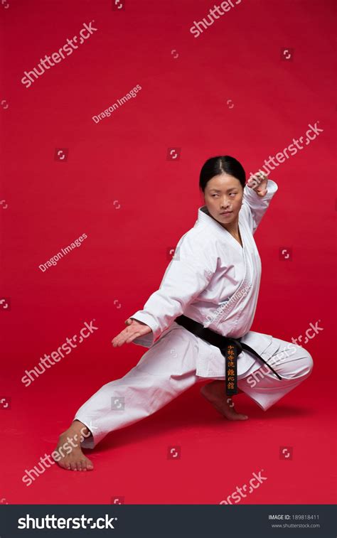 Martial Arts Girl Martial Arts Women Karate Art Girl Fighter